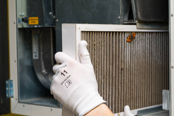 Best Air Duct Mold Removal  in Hoback, WY